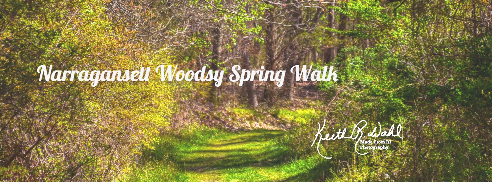 Narragansett Woodsy Spring Walk
